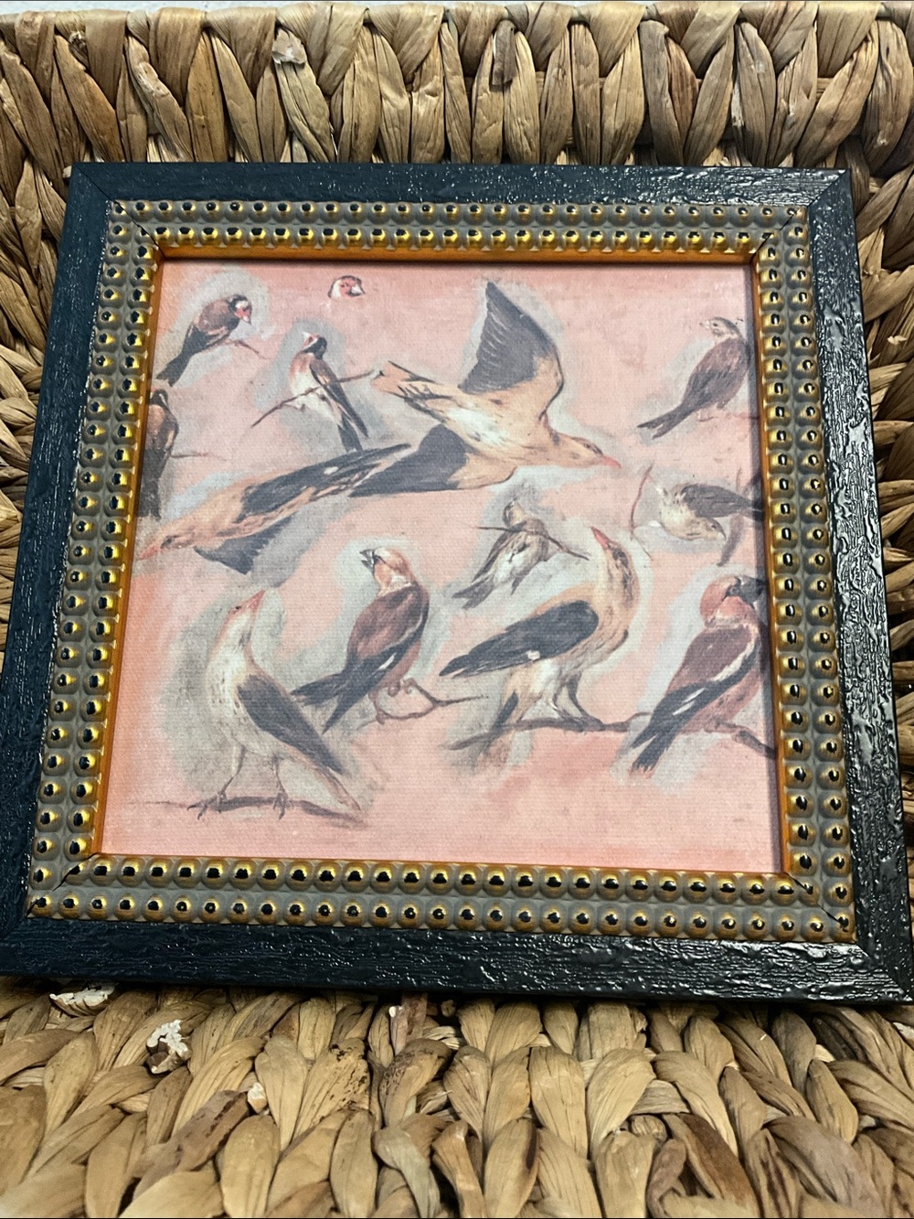 Vintage Style Bird Print Framed Wall Art in  blush  Gallery wall collage